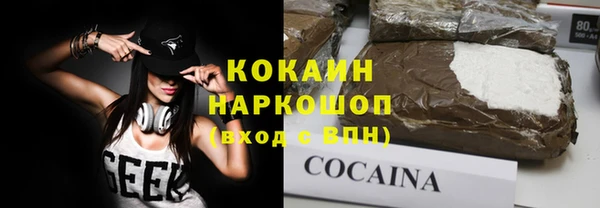 гашик Ладушкин
