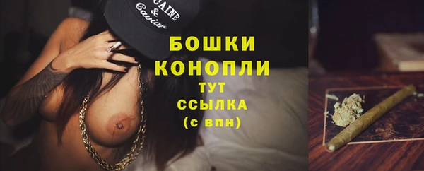 дживик Кулебаки