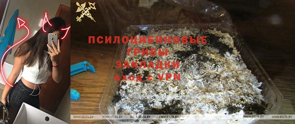 шишки Чита