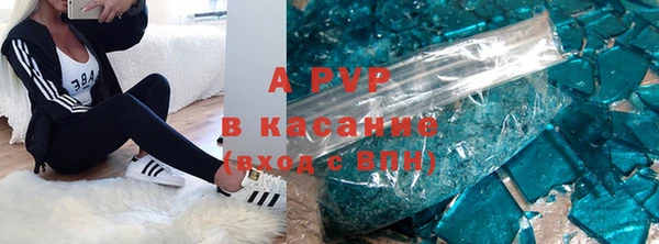 эйфоретик Кукмор