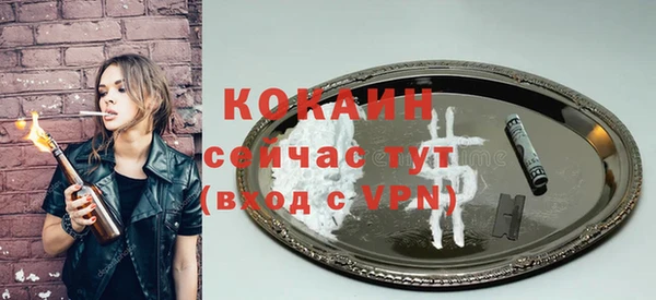 дживик Кулебаки