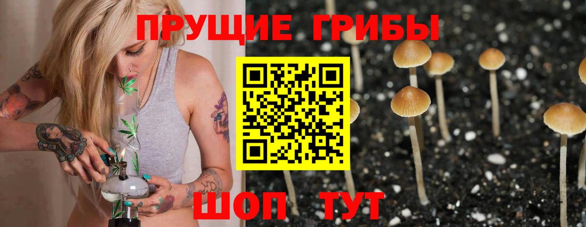 Галлюциногенные грибы GOLDEN TEACHER Иваново