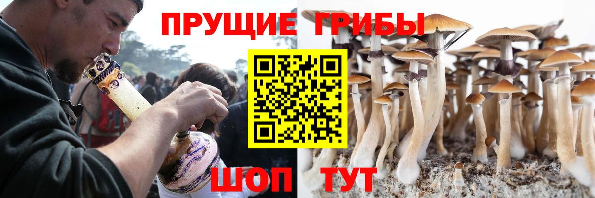 Иваново  Псилоцибиновые грибы прущие грибы  Вход с VPN 
